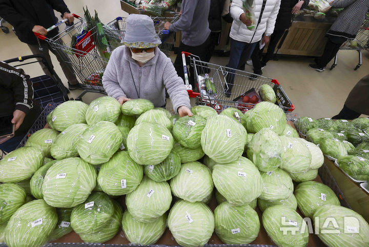 [관련사진] 뉴시스2.jpg