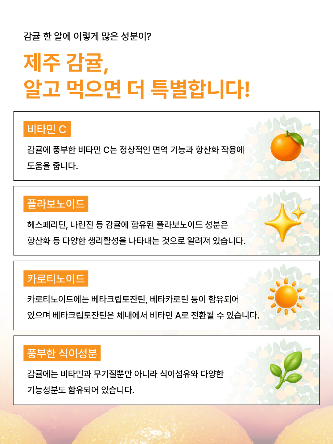 제주 감귤, 무엇이 특별할까요?