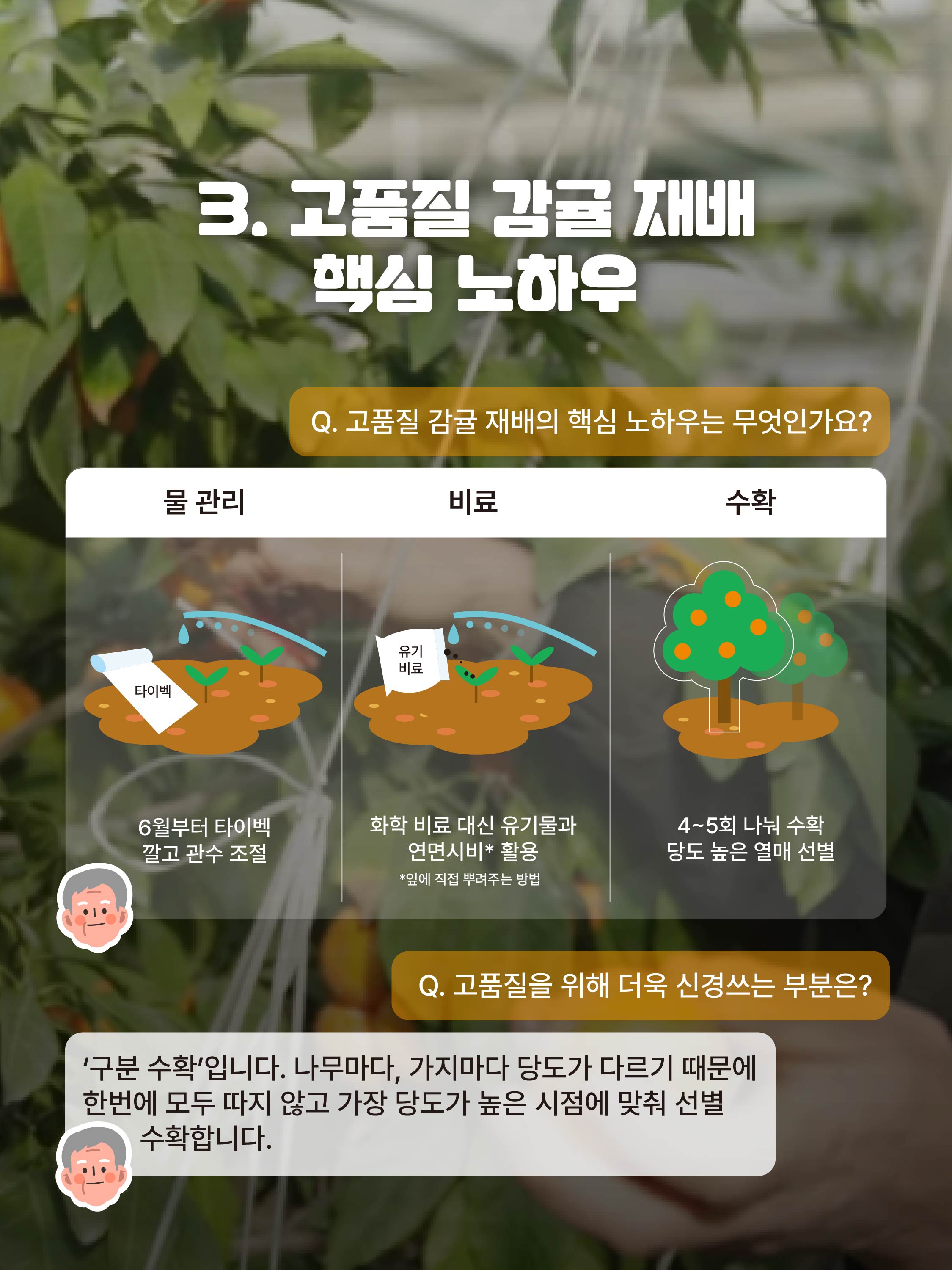 고품질 비가림온주로 완성한 명인의 길