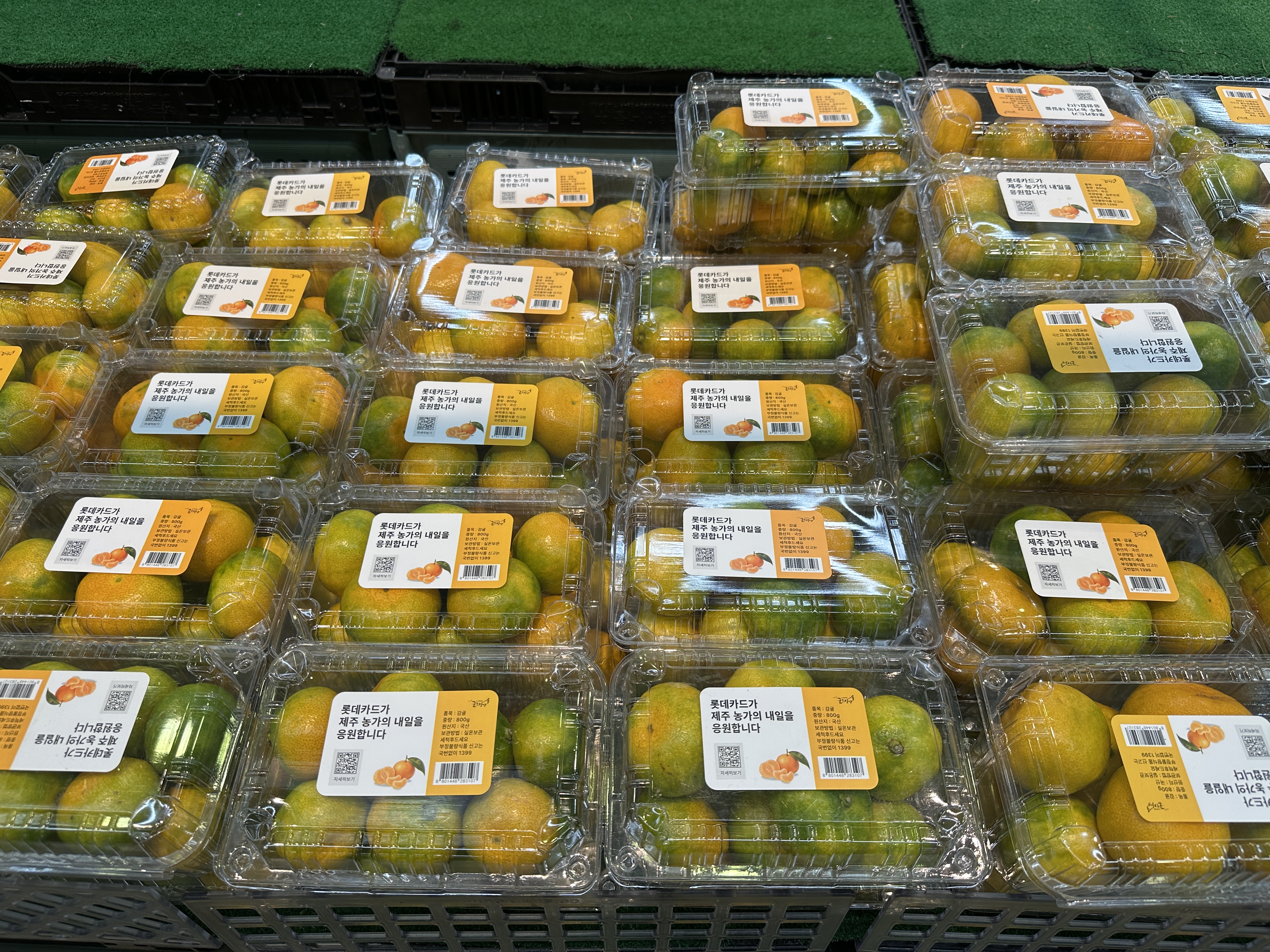 KakaoTalk_20260720_151829198_09.jpg