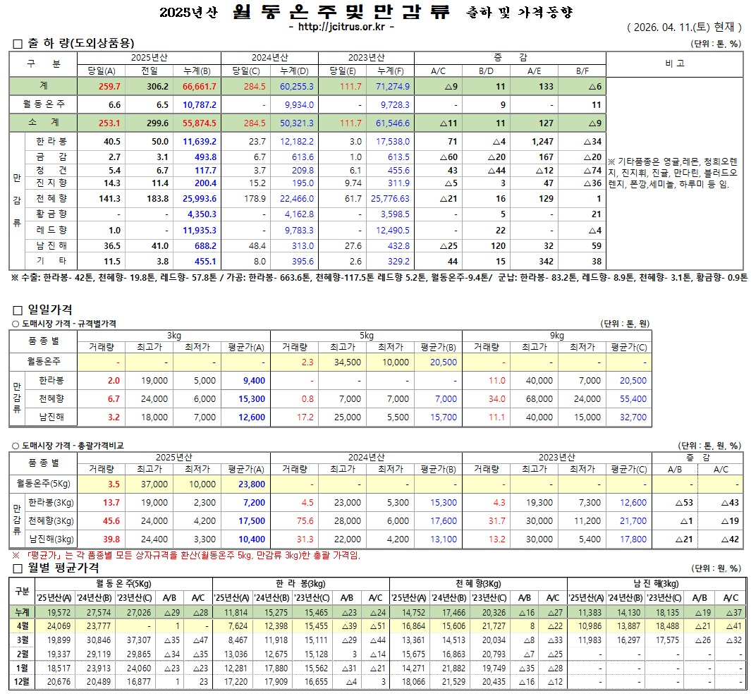 [월동&만감]2025년산 출하 및 가격동향(4/11)