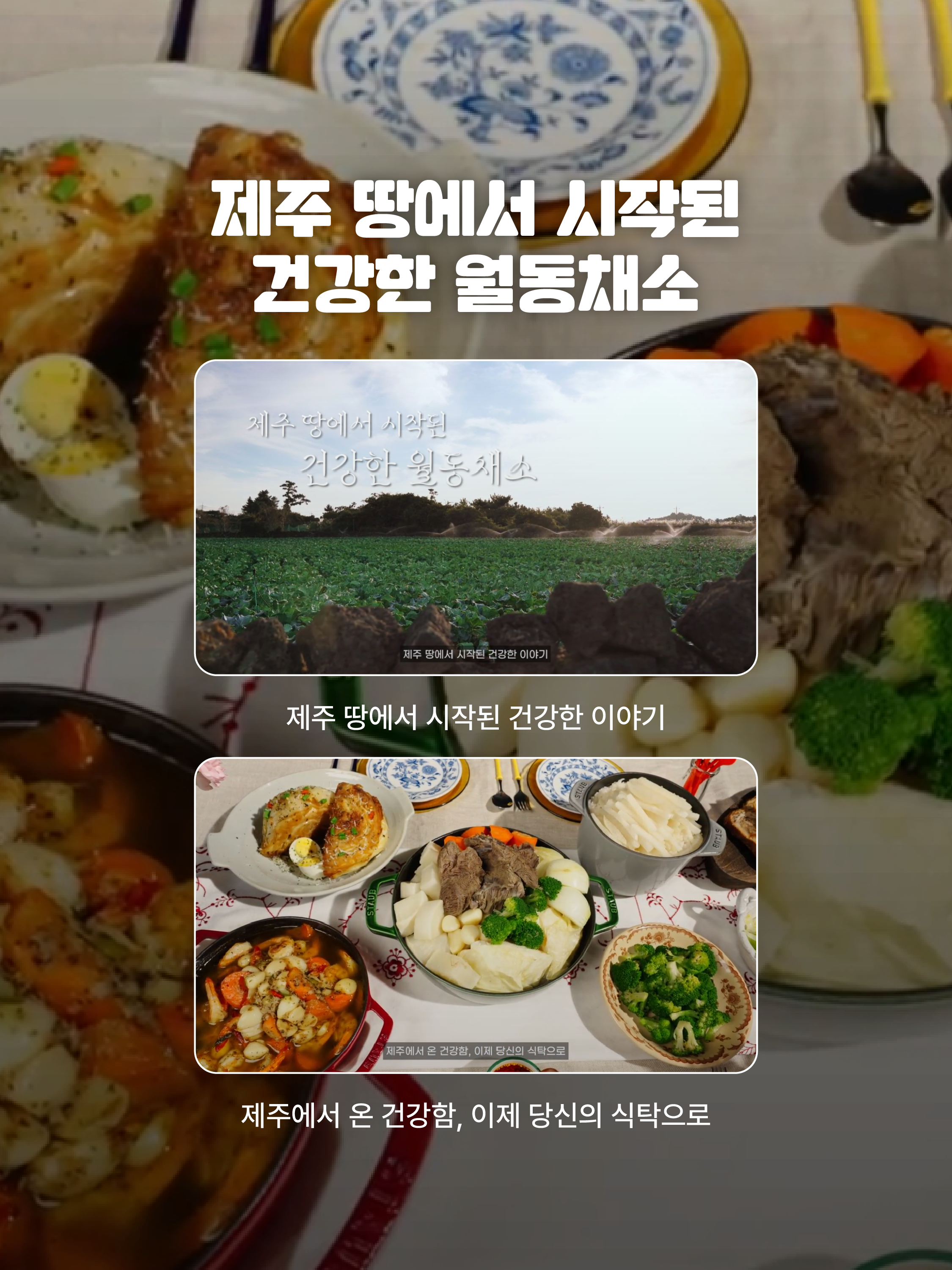 서울고속버스터미널 제주 월동채소 홍보영상 송출