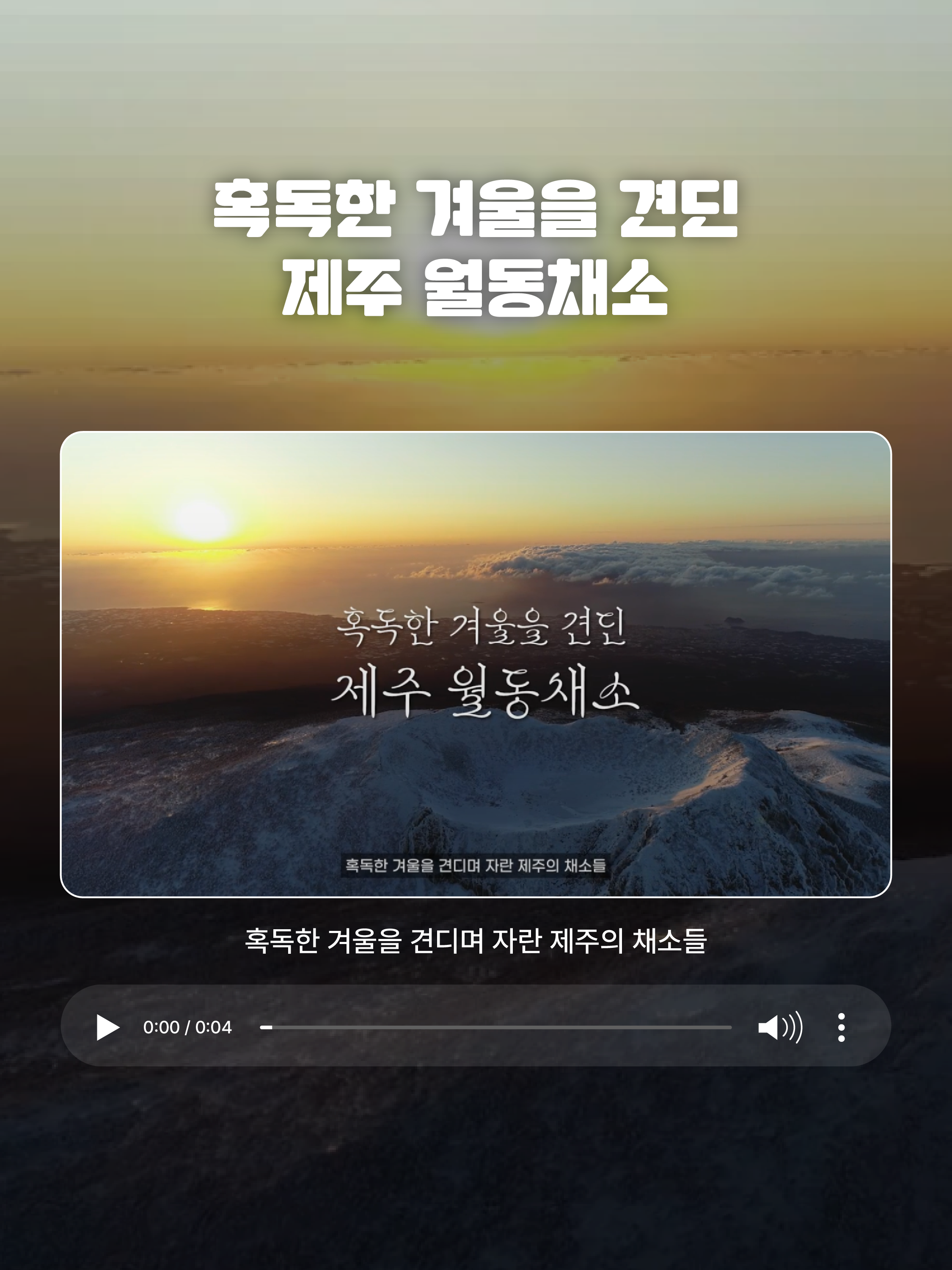 서울고속버스터미널 제주 월동채소 홍보영상 송출