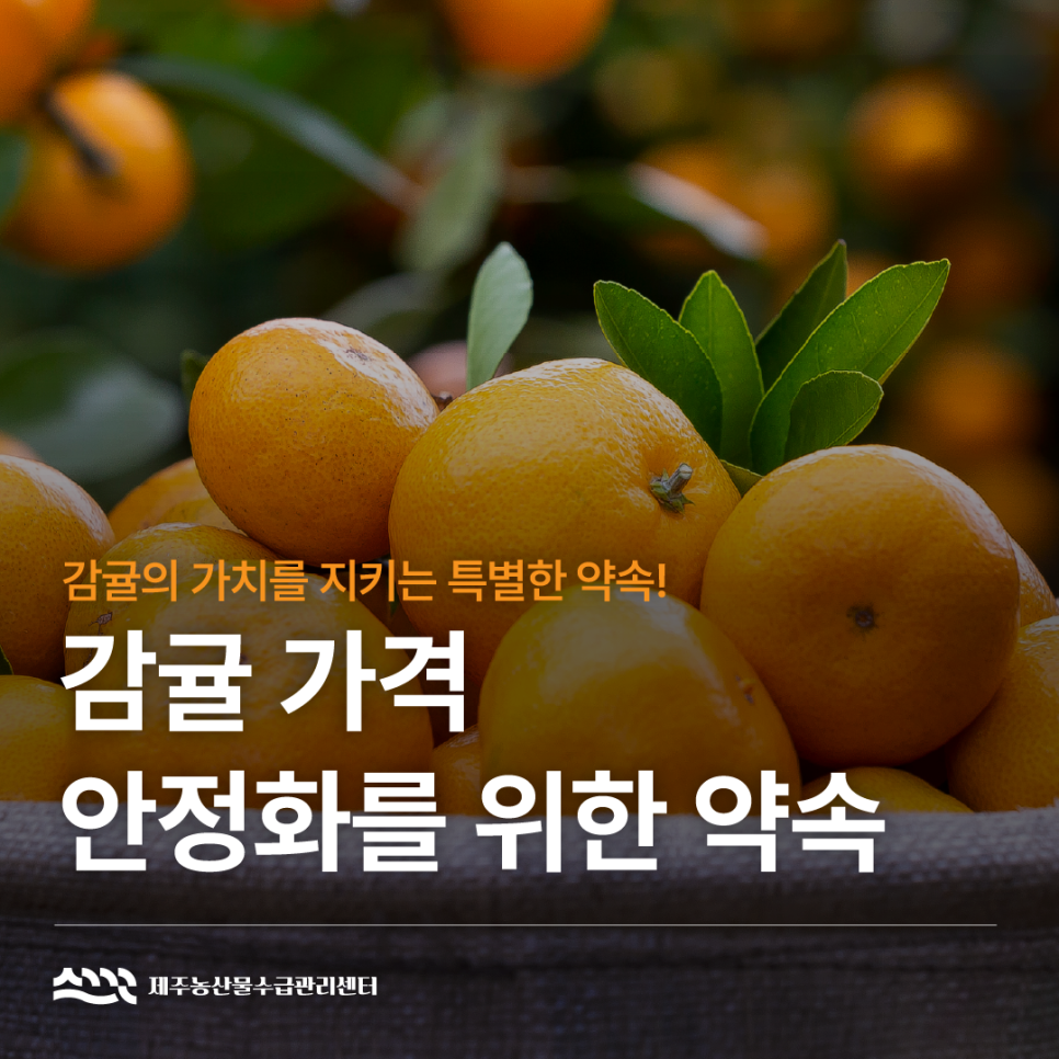감귤 가격 안정화를 위한 약속