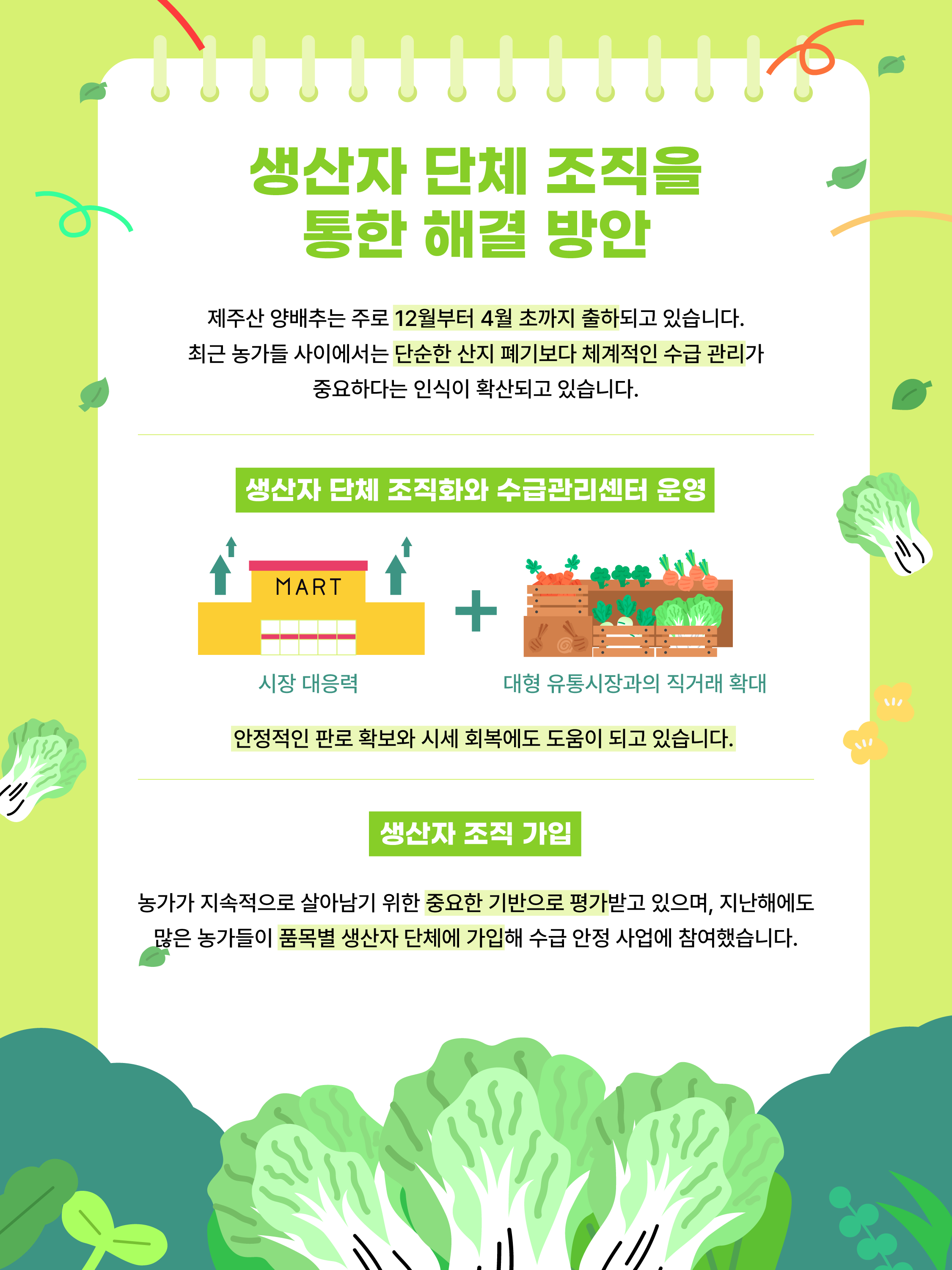 제주 양배추, 수급관리로 길을 찾다