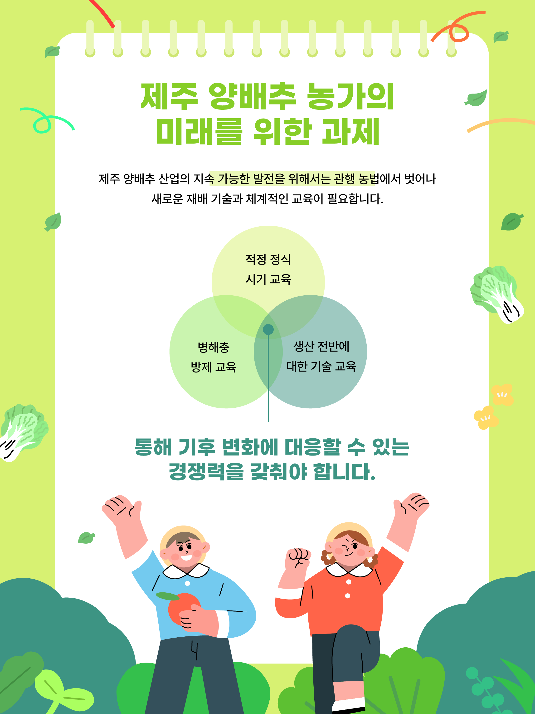 제주 양배추, 수급관리로 길을 찾다
